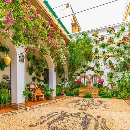 Apartman Boulevard Gran Capitan *